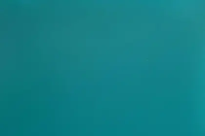 PVC portable dance floor