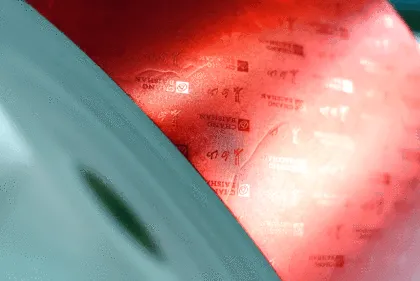 Moisture-proof and mildew-proof desiccant