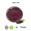 Black elderberry extract powder Improve immunity