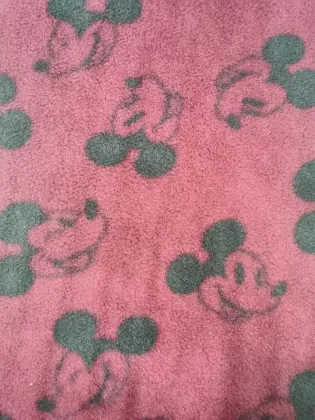 FDY Polar Fleece anti pill polar fleece fabric