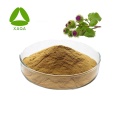 Burdock Fruit Extract 20% Arctiin Powder 20362-31-6