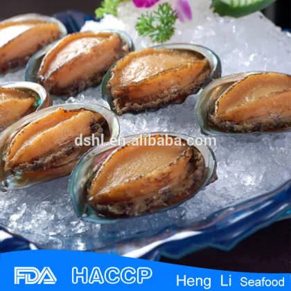 Seafood frozen abalone in abalone season