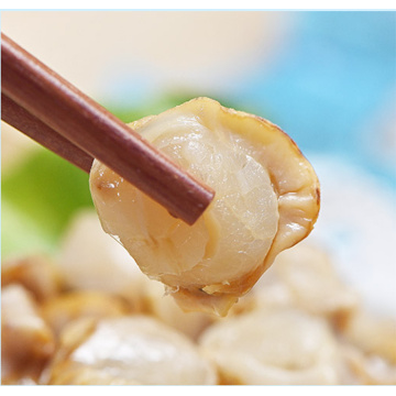 Meat Daxin Tender Instant Scallop Meat