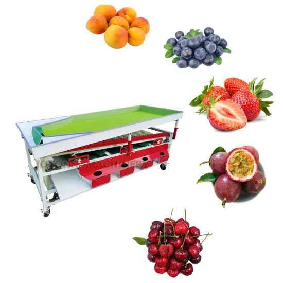 High Efficiency Fruit Grading Machine for Avocado, Apple, Mango, Onion, Lychee, Strawberry, and Blueberry