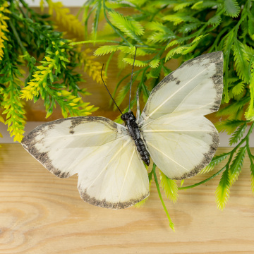 Manualidades de mariposas para adultos