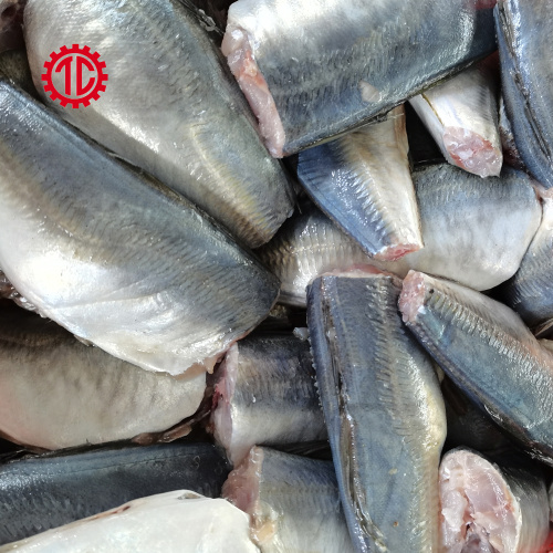 Canned Mackerel Fish in Oil Export And Import