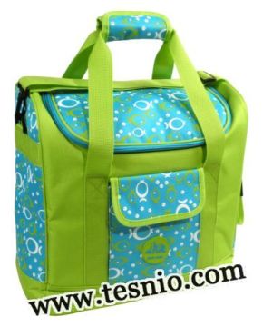 Portable Cooler Bag, Fshion Cooler Bag (Tesnio-CB1004)