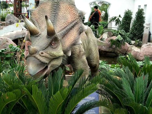 life size triceratops