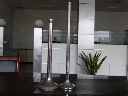 Diesel Engine Parts Train Engine Valve for Lombardini