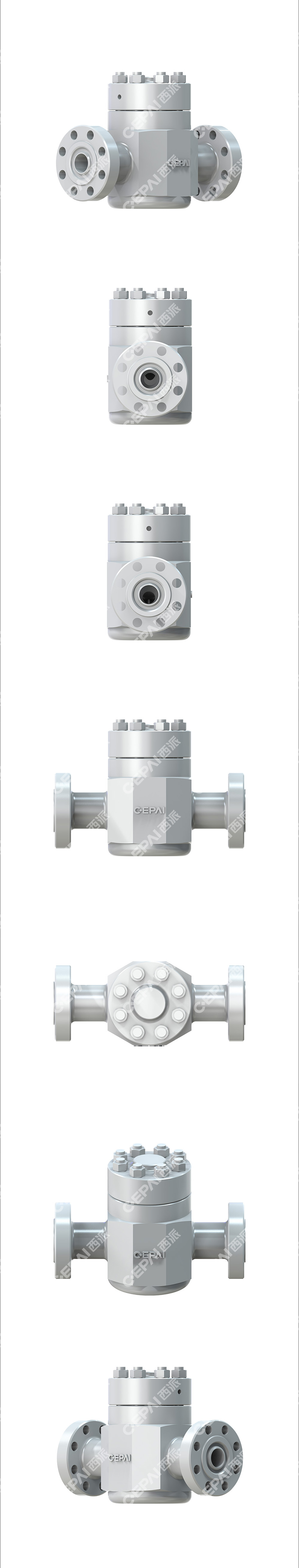 Lift Check Valve1