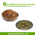 Scutellaria Barbata Polvo Polvo Skullcap Extracto