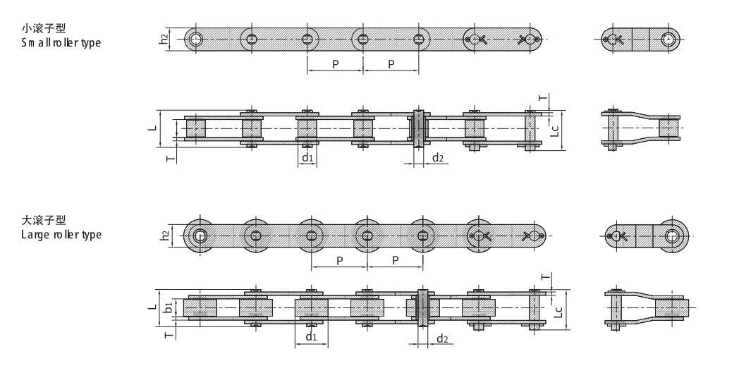 Double pitch stainless steel conveyor chain (2)