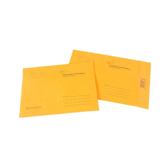 Express delivery kraft paper bubble bag