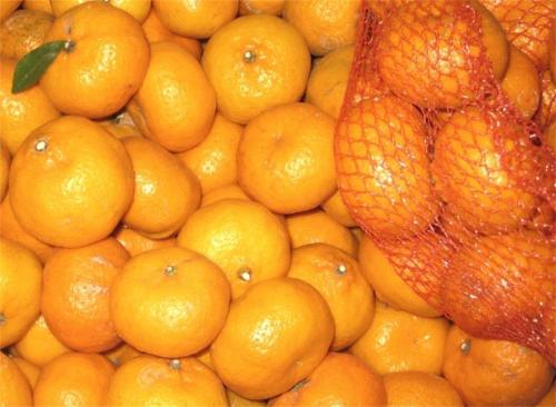 रसदार मीठा ताजा बच्चा mandarin Nanfeng