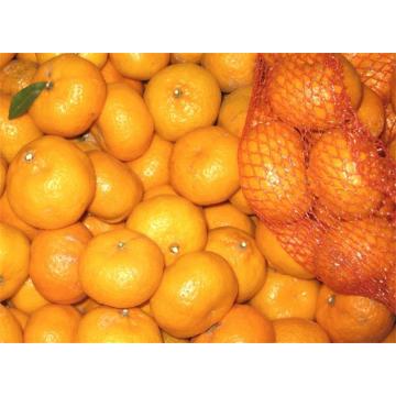 Saftiger süßer frischer Baby Mandarine Nanfeng