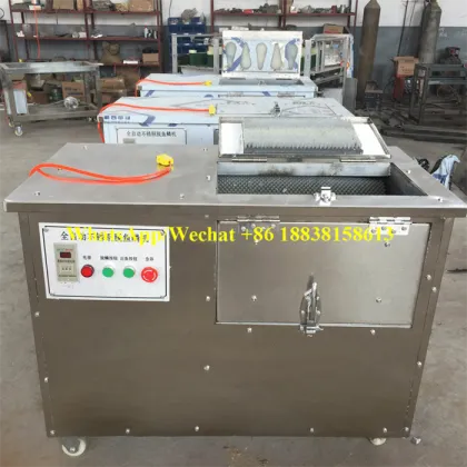 Industrial Fish Washer: Silver Carp and Snakehead Fish Scale Remover Machine
