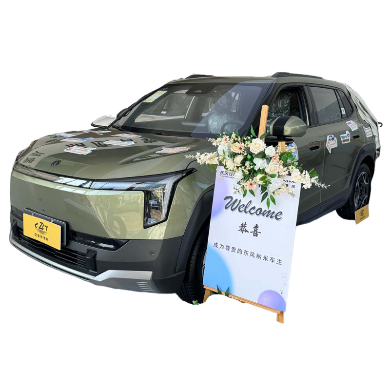 Nano 06 Pure Electric Box