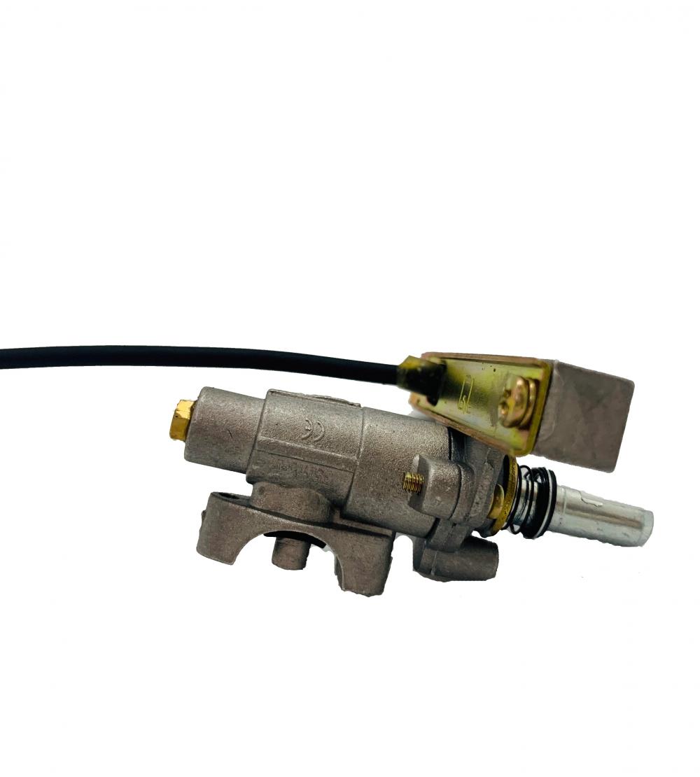 Electronic Ignition Valve