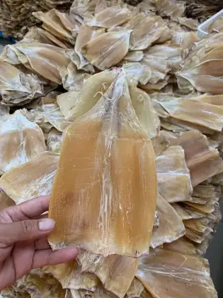 Frozen Dried Squid Snacks – Customized, Headless, Fresh Seafood Treat
