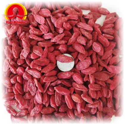 HALAL Red Goji Fruit