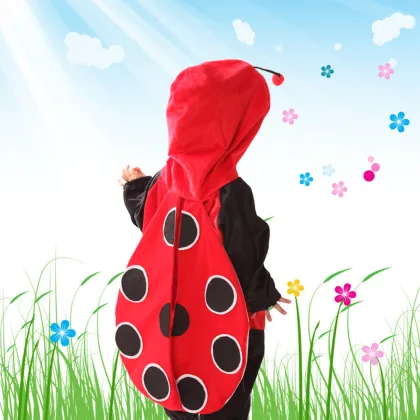 Kids Ladybug Costumes / Ladybird Costumes
