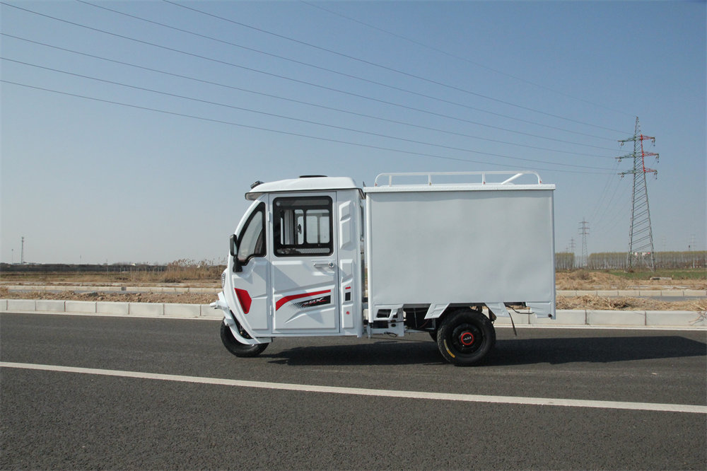 Fully Enclosed Electric Van