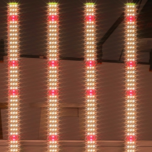 Full Spectrum Strip Dimmable 600W LED Grow Light