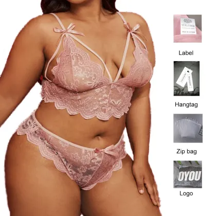 Custom 4XL Big Size Lace Bra Sets Underwear for Women - ODM OEM Private Label