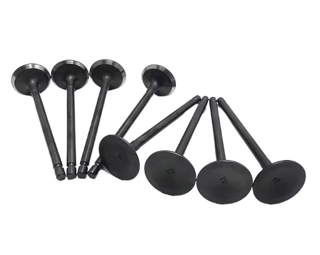 90295011 Intake Valve for Engine
