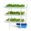 12 tuberías Hydroponics PVC NFT Sistema de crecimiento