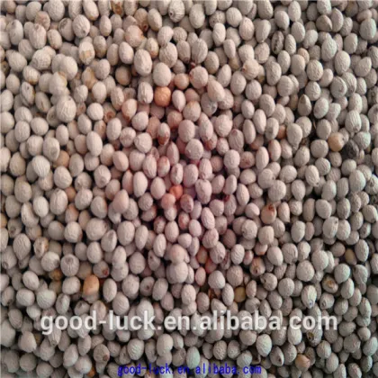 high quality perilla seed