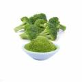Best Broccoli Powder Supplement for Health