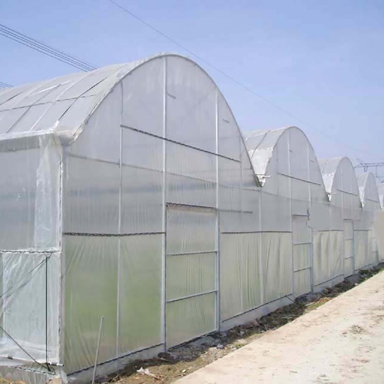 Large Plactic Greenhouse For Vegetable Flowers