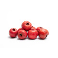 High-Quality Herbal Extracts for Immune Support and Energy