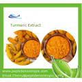 Organic Turmeric Extract 95% Curcumin Powder