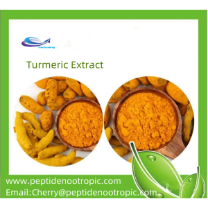 Organic Turmeric Extract 95% Curcumin Powder