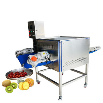 Stainless Steel Vegetable Cutting Machine - Shredder for Cabbage, Red Dates, and Cowpeas