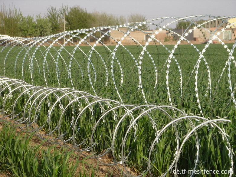 CBT-65 razor wire 