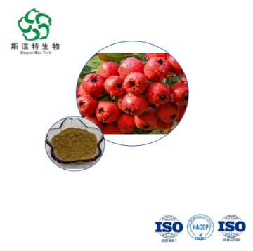 Chiết xuất Crataegus Pinnatifida - Bán buôn Flavonoid 20% -40% cho dược phẩm dinh dưỡng