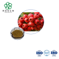 Crataegus Pinnatifida Extract - Wholesale Flavonoids 20%-40% for Nutraceuticals