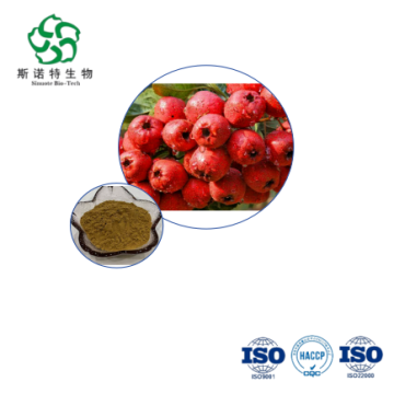 Crataegus Pinnatifida Extract - Wholesale Flavonoids 20%-40% for Nutraceuticals