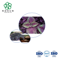 Hawthorn Leaf Extract Rich in Rosmarinic Acid