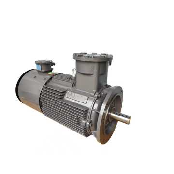 IE4 থ্রি ফেজ এক্সপ্লোশন প্রুফ ইন্ডাকশন মোটর