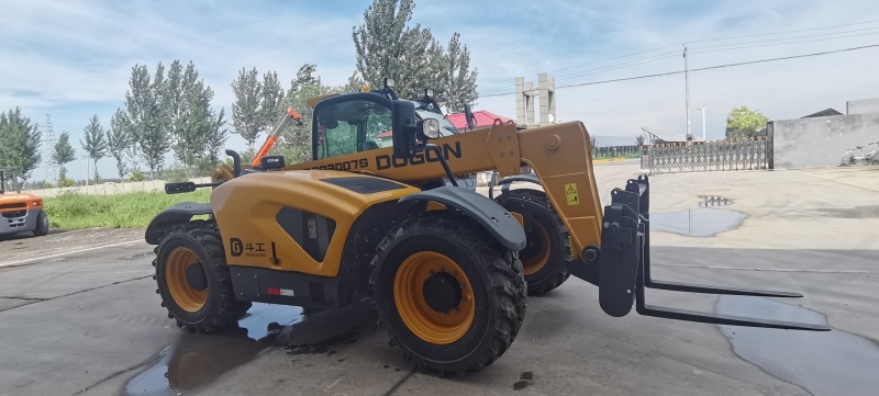 7M Telescopic Arm Small Diesel Forklift Loader with 3 Tons Capacity