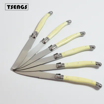 Laguiole Steak Knives 6-Piece Set with Color PP Handles