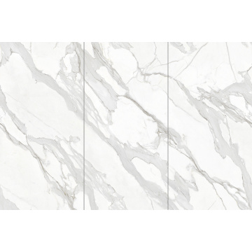 تزوير بطن السمكة الرخامية العليا باللون الأبيض