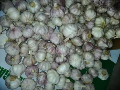 best way to preserve fresh garlic