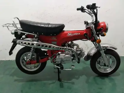 SKYTEAM E5 50cc SkyMax Motorcycle - EEC EURO5 Approved