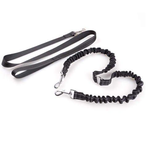 Dual bungee doub dog leash