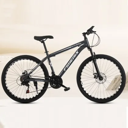 Wholesale mountain bike 21 speed off-road cycling bicycle